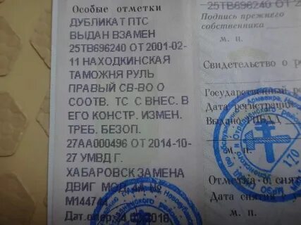 Оригинал дубликат