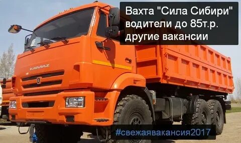 Вахта сила