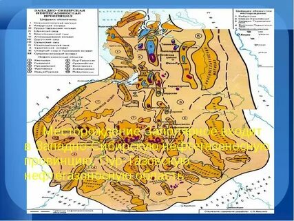 Западно сибирская провинция