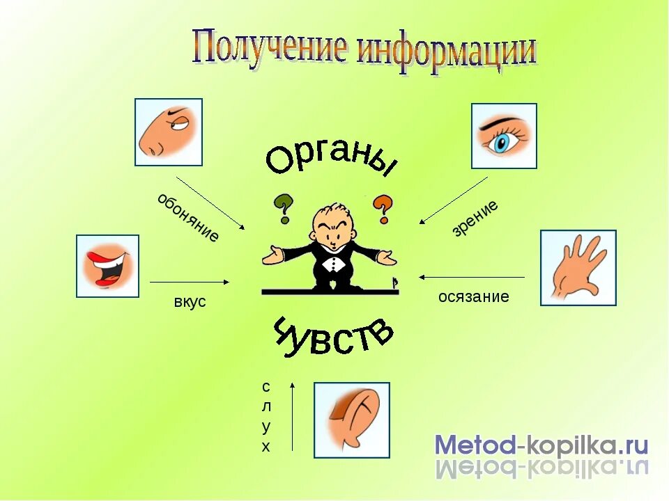 Надо получить информацию. Получение информации. Получение информации картинки. Источники информации рисунок. Способы получения информации рисунок.