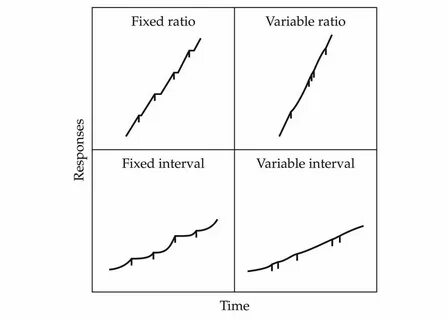 Interval variables