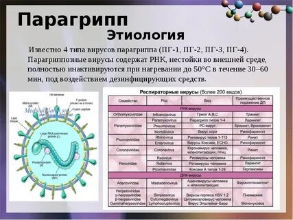 Вирус относится к инфекциям