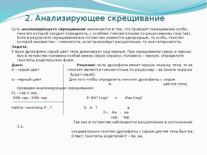 Решение задач по генетике 10 класс биология. Анализирующее скрещивание задачи. Решение задач по биологии по генетике 10 класс. Анализирующее скрещивание решение генетических задач. Решение задач на анализирующее скрещивание с решением 10 класс.