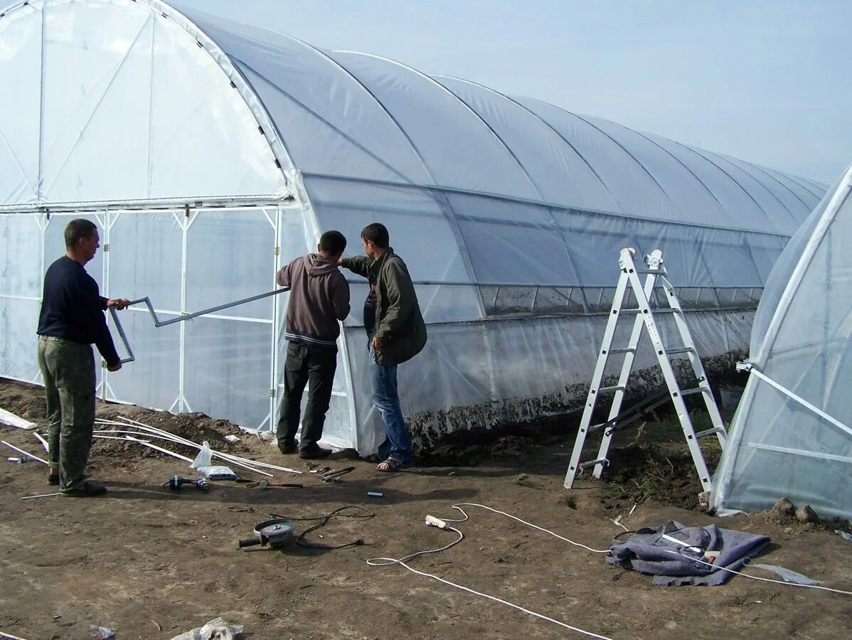 Нужно ли снимать пленку с теплицы. Теплица пленочная. Теплица под пленку. Большая теплица. Каркас теплицы из пленки.