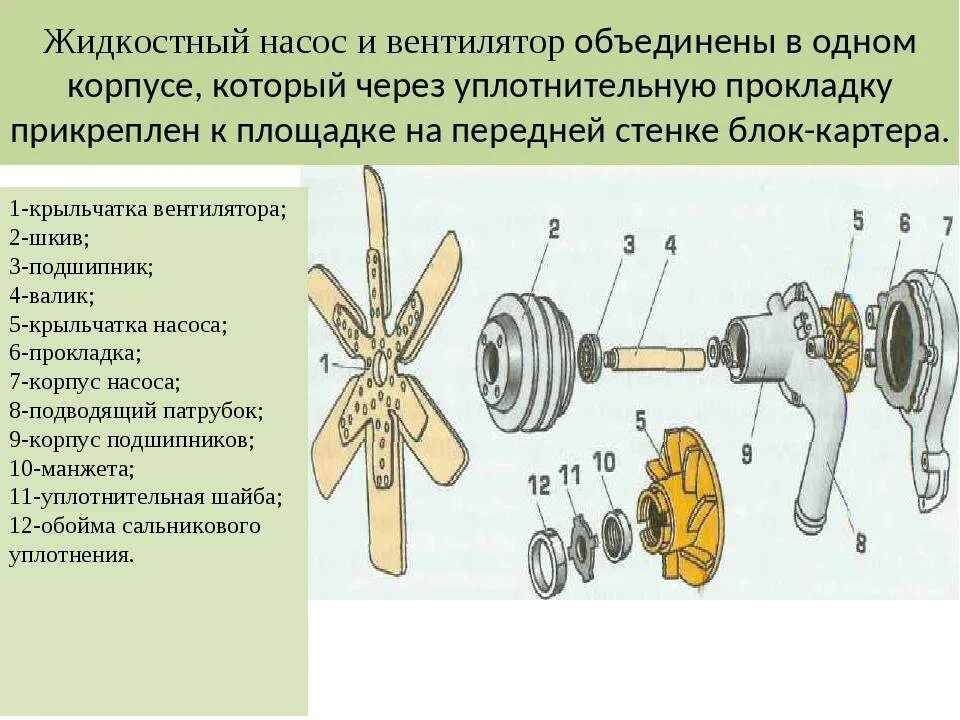 Принцип работы вентилятора охлаждения двигателя. Жидкостный насос и вентилятор двигателя зил 508. жидкостный насос системы охлаждения двигателя зил 508. насос системы охлаждения (помпа). насос системы охлаждения двс.