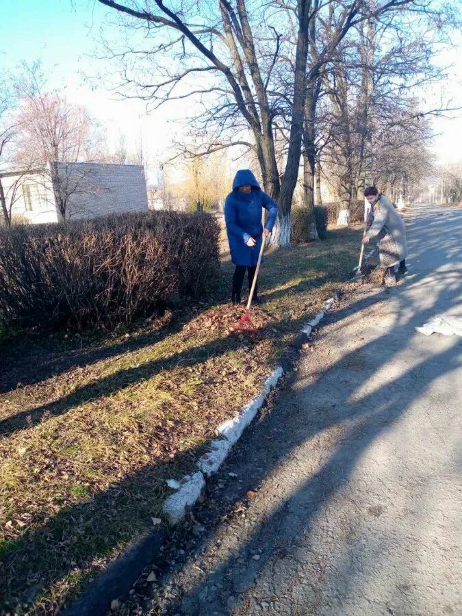 Парк кардымово. Поселок субботники. Субботник в деревне. Субботник в поселке анджиевский. Поселок субботники.