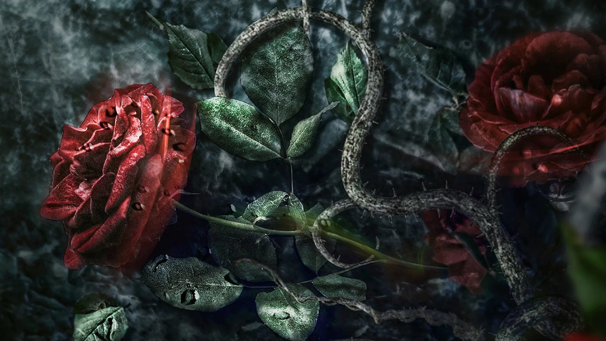 Готические картины цветы. Rose mortem готика. Грешные женщины. Цветы на черном фоне. Дикая роза вьюн.