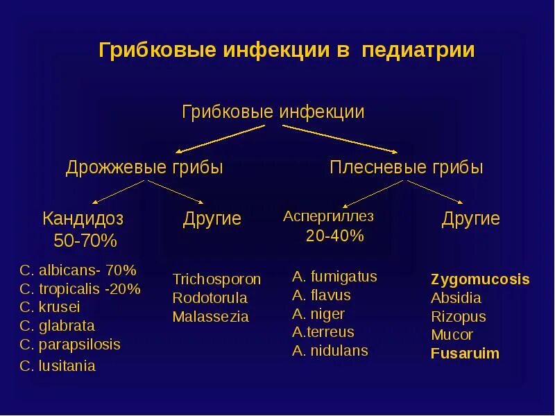 Соберите информацию о грибковых заболеваниях. Классификация грибковых заболеваний. Название грибковых заболеваний. Классификация грибковых заболеваний кожи.