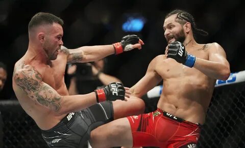 Ufc 296 полный