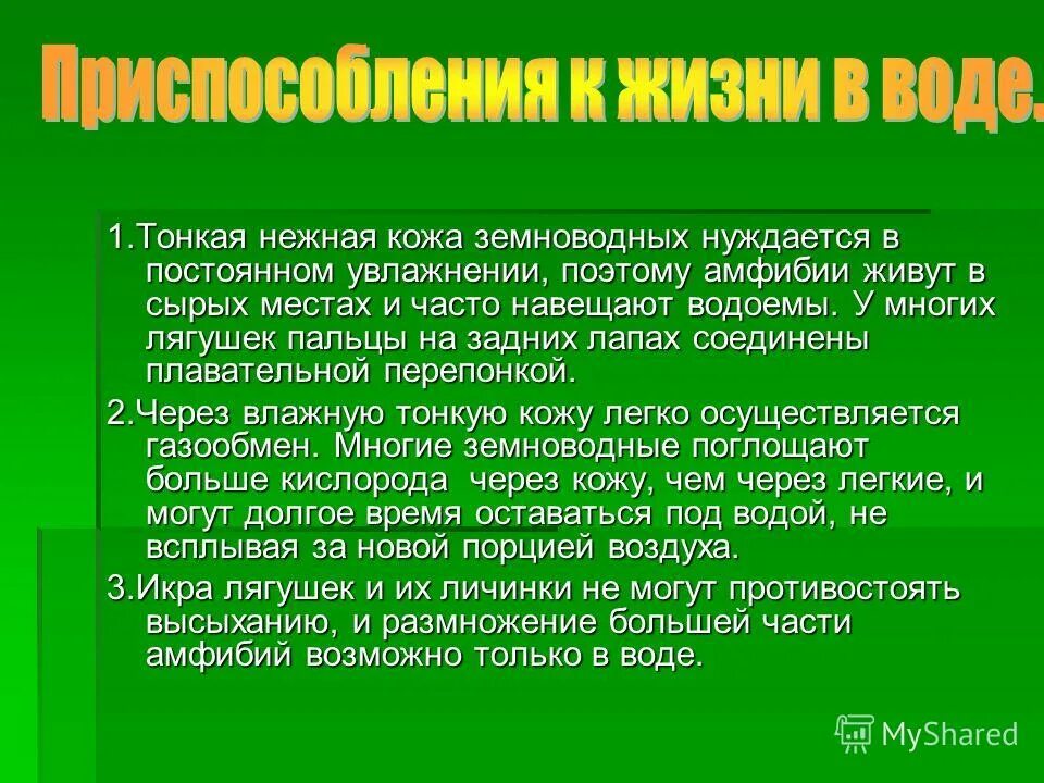 приспособления земноводных к среде обитания. приспособления земноводных. черты приспособленности земноводных. приспособленность лягушки к жизни на суше. адаптации лягушки.