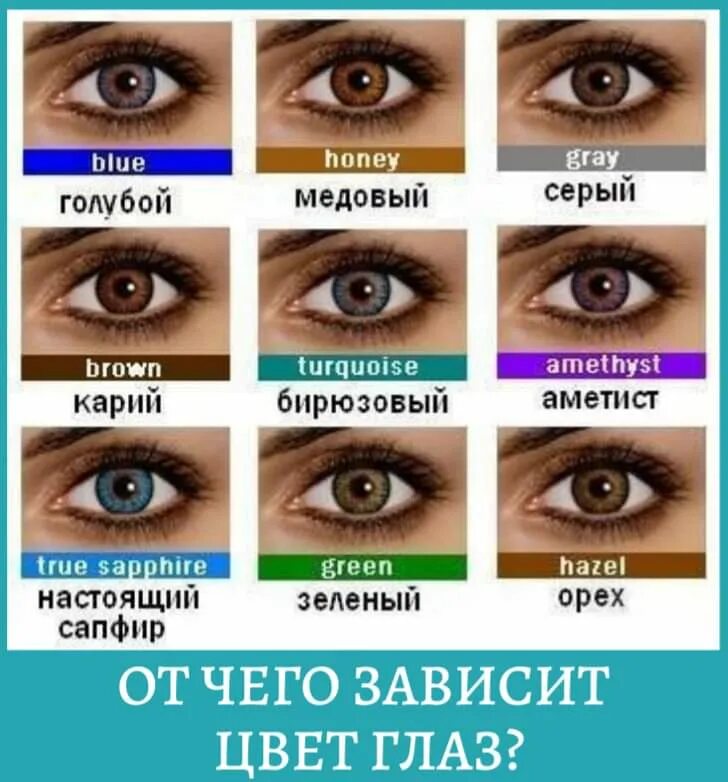 Глазки прилагательные. Цвета глаз с названиями. Цвета глад и их названия. Названия цветов глаз. Цвета глаз у человека и названия.