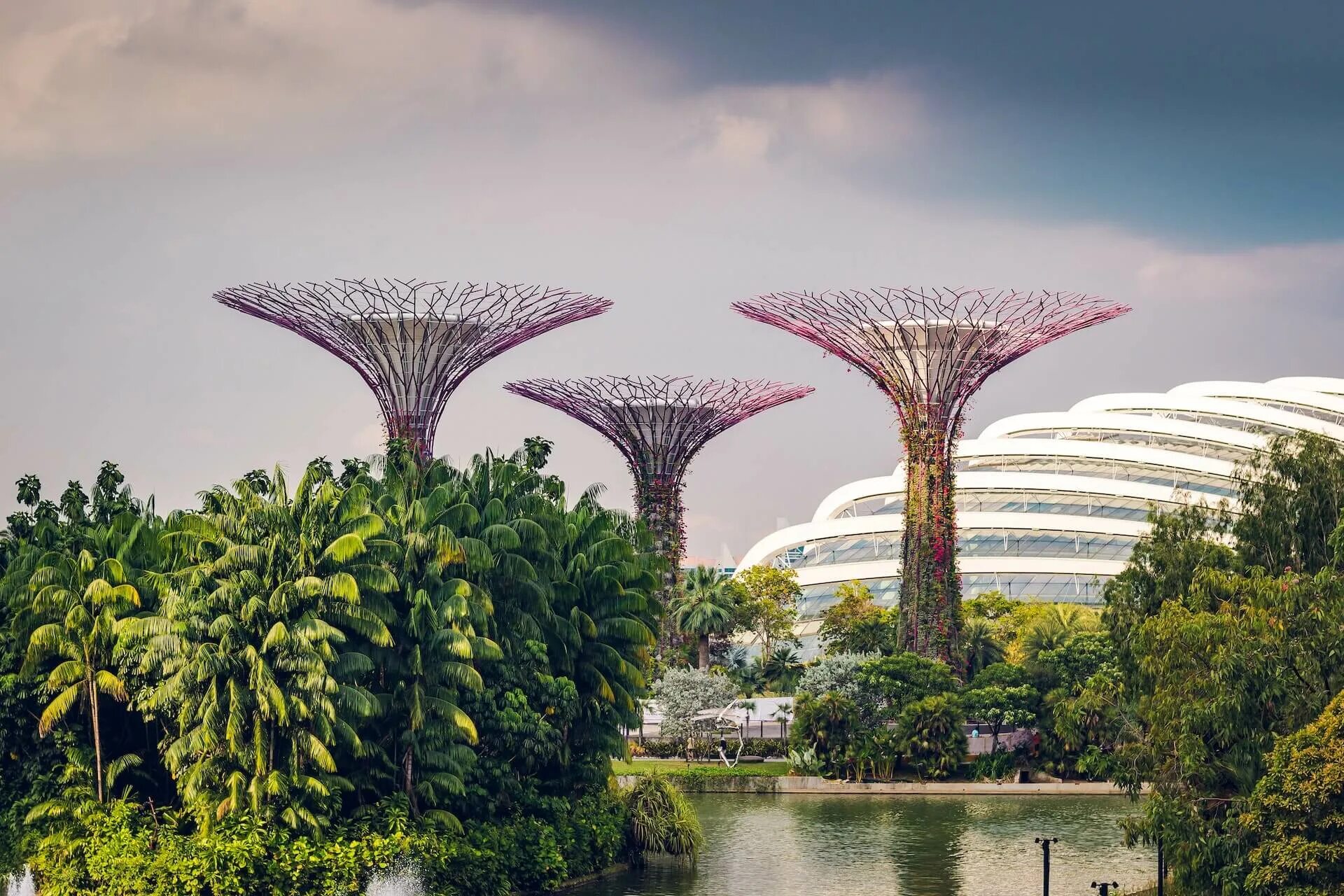 2 singapore