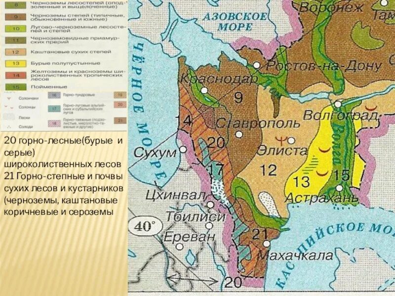 Природные зоны Северо Кавказского района. Природные зоны Северо Кавказского экономического района. Природные зоны Кавказа карта. Почвенная карта европейского Юга.