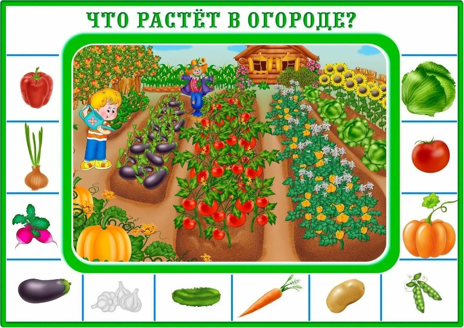 Игра 2 овощи. Грядка с овощами для детей. Овощи для огорода в детском саду. Игра что растет на грядке. Огород картинка для детей.