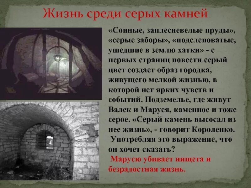 Среди серых. Владимир короленко среди «серых камней». в дурном обществе короленко среди серых камней. жизнь среди серых камней в дурном обществе. среди серых камней.