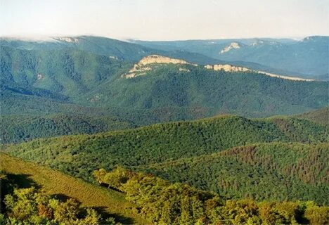 Лесные заповедники крыма