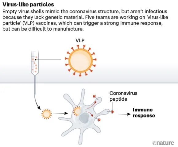 Like virus. Virus-like Particle. Virus like Particles vaccine. Virus-like Particle рисунок.