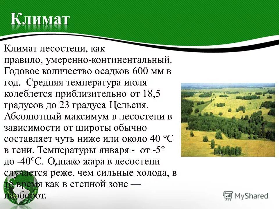 Климат лесостепи. Природные условия лесостепи. Климатический пояс лесостепи в России. Лесостепи климат осадки. Климатический пояс природной зоны степи