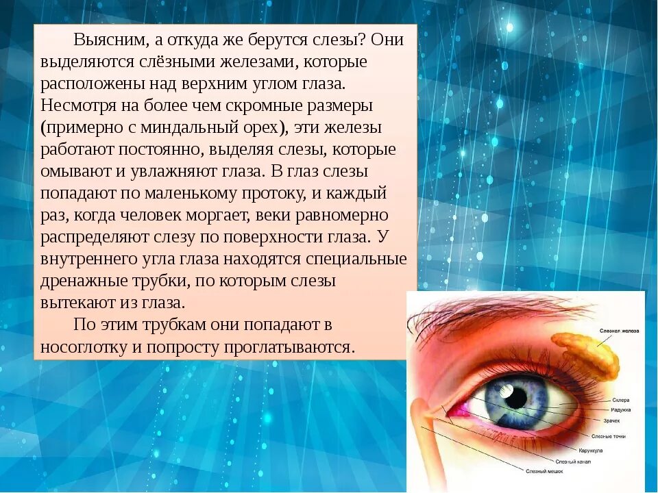 Почему текут слезы. Откуда берутся слезы. откуда берутся слезы у человека. слезы для презентации. почему люди плачут и откуда берутся слезы.