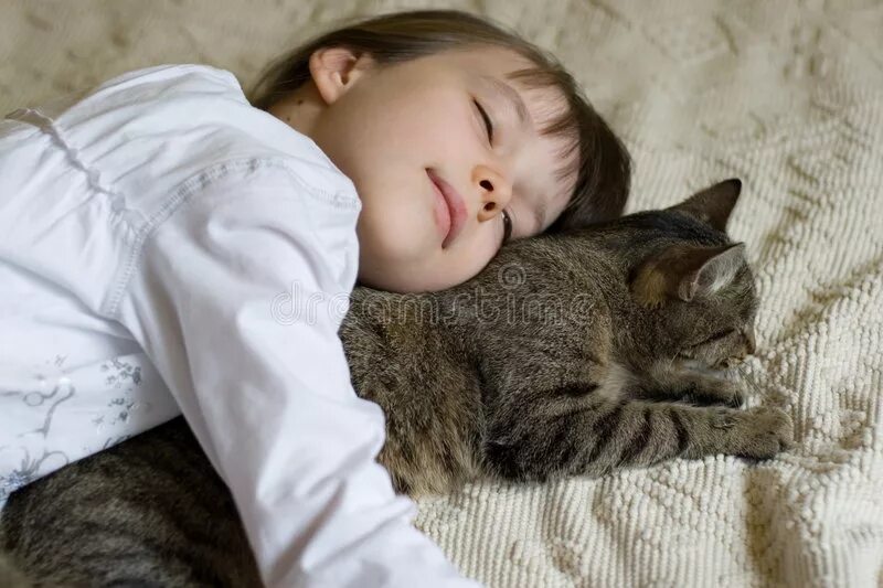 Кот спавший ребенка. Девочка спит с котом. девочка в обнимку с котом. ребенок в обнимку с котом. детки с кошечкой в обнимку.
