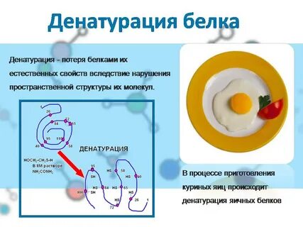 Денатурация белка формула