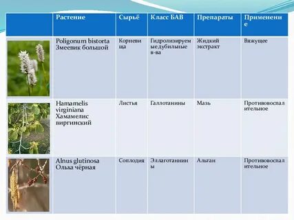 Группы растительного сырья