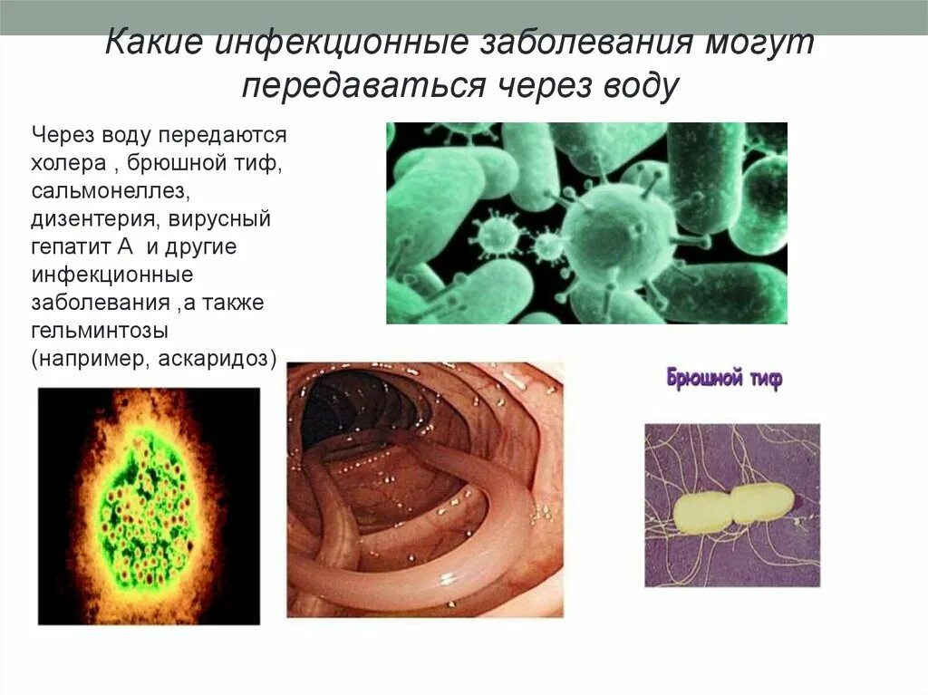 Заболевание передающееся водным