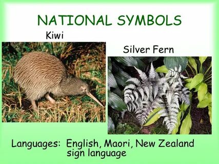 New zealand транскрипция