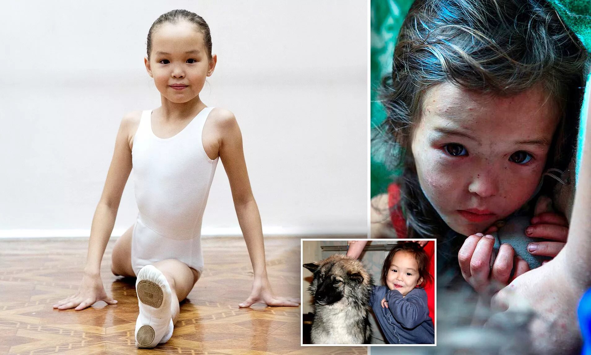 Nippyfile siberian. Бобкова мария сибериан. Мария бабако фото сессия. Бабоко сябирския мишка. Вероника сибериан моусе.