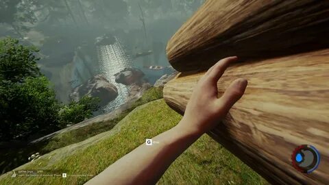 The forest пиратка