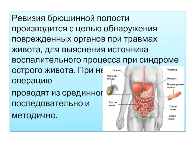 Полная ревизия. Ревизия брюшной полости. Этапы ревизии брюшной полости. Ревизия органов брюшной полости. Техника ревизии брюшной полости.