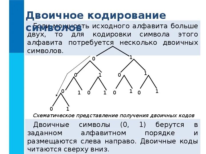 Двоичный алфавит двоичное кодирование. Двоичное кодирование алфавит. кодирование алфавита в двоичный код. схематическое представление двоичных кодов. кодирование бинарных деревьев.
