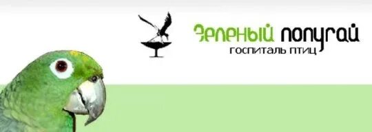 Зеленый попугай балашиха отзывы. Зеленый попугай балашиха отзывы. Зеленый попугай балашиха отзывы. Зеленый попугай балашиха отзывы. Зеленый попугай госпиталь для птиц.