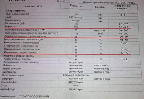 Перед спермограммой нельзя