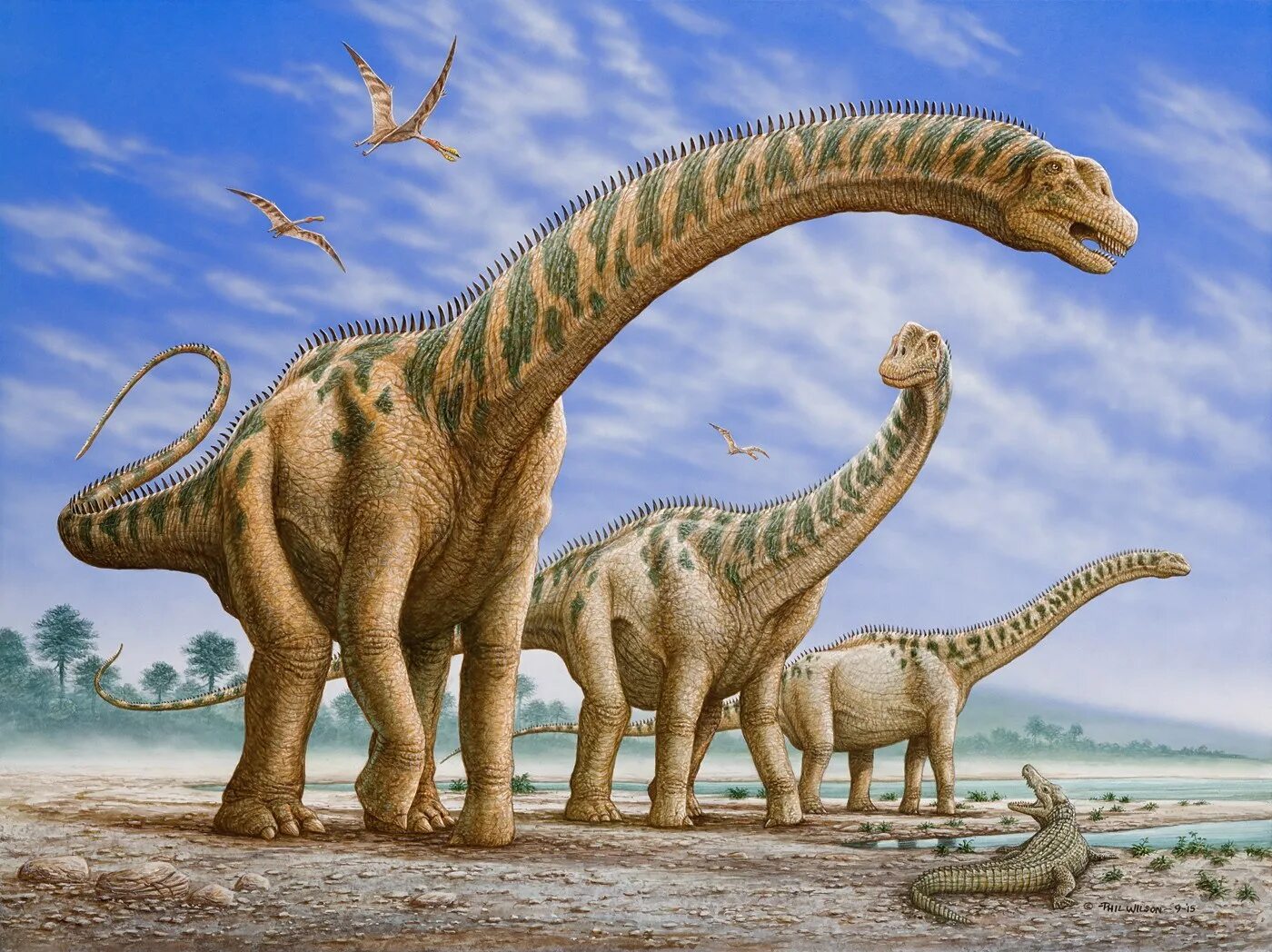 Диплодок Аргентинозавр. Argentinosaurus динозавр. Титанозавр и Аргентинозавр. Диплодок динозавр Аргентинозавр. Больше про динозавров