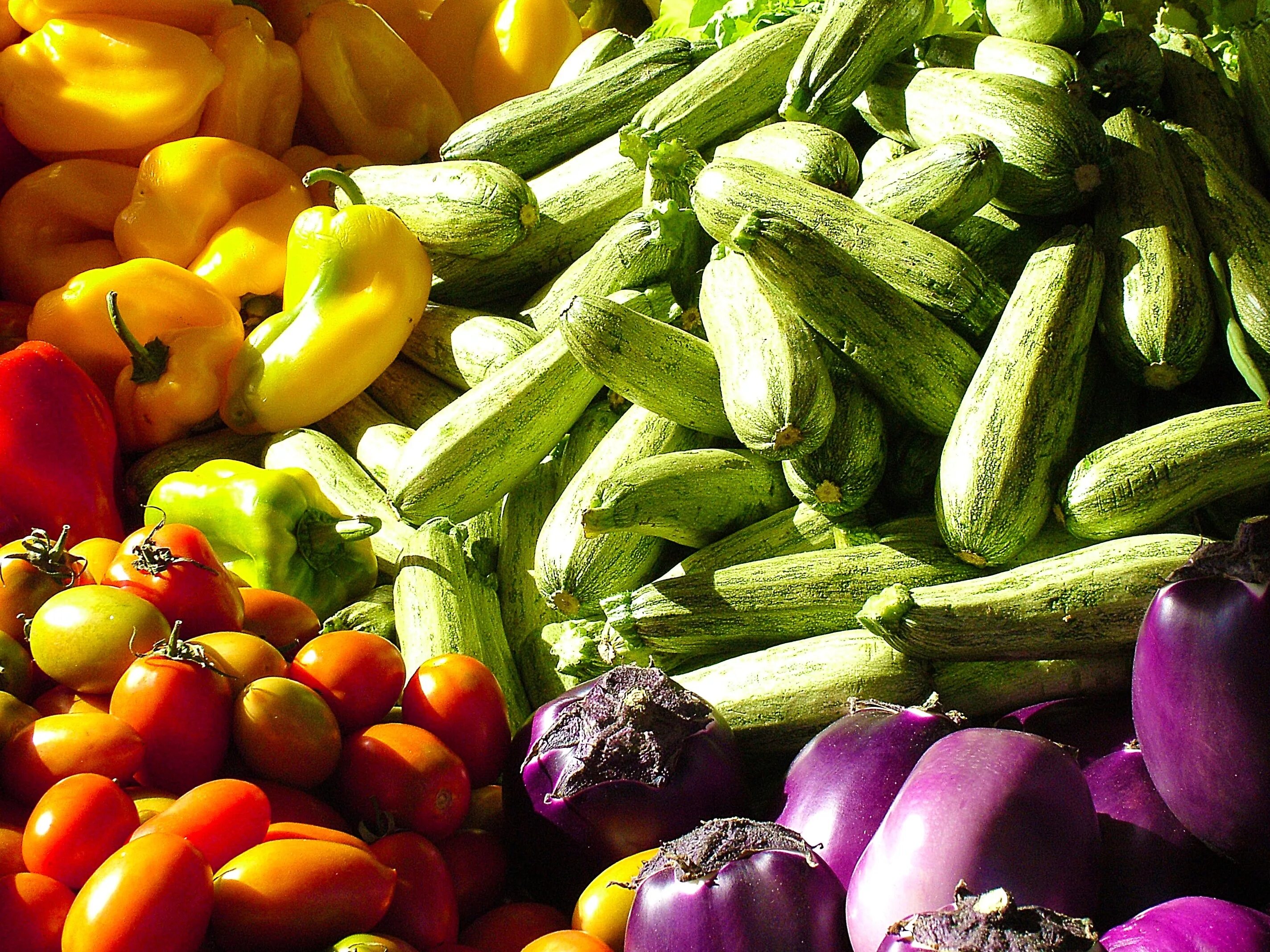 Овощи. Овощи России. Овощи фотографии с названиями. Vegetables. A lot of vegetables