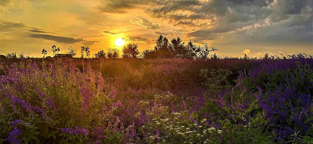 Закат в деревне. Вечер в деревне. Красота природы. Природа вечер. Июнь природа.