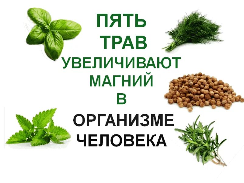 Растение содержащие калий