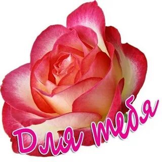 Hello yra 3