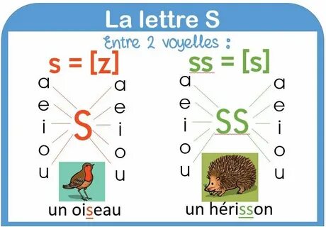 S et c