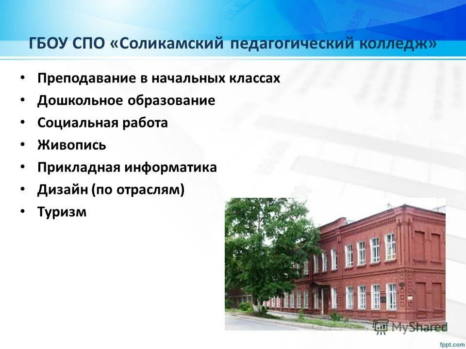 педагогический колледж социальная работа. социальный педагогический колледж волгоград. педагогический колледж социальная работа. вспк волгоград. пед колледж волгоград.