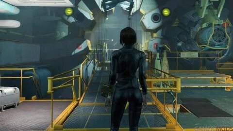 Fallout 4 убежище 81