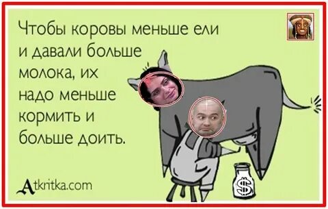 Корову надо кормить