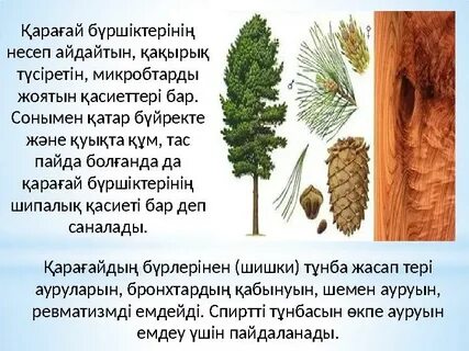 Украина секс видео