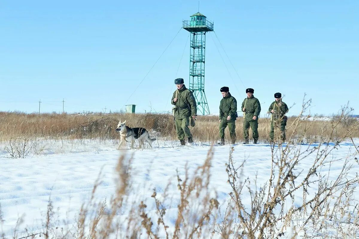 Курск обстановка на границе. Российско-украинская граница. Пограничники Украины. Пограничники на границе с Украиной. Пограничней на границе.