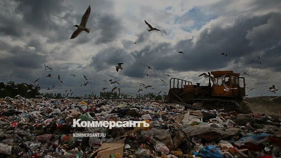 Содержание свалок