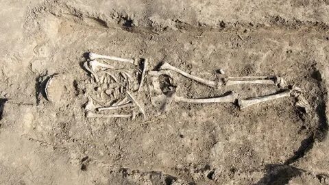 Digging for the bones