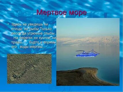 Здесь наше море