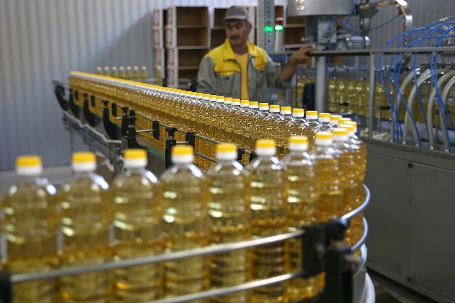 Доклад о садоводстве. Ведущие отрасли экономики краснодарского края. Проект труд жителей кубани. Какую продукцию производят в краснодаре кубановедение 2. Отрасли экономики краснодарского края.