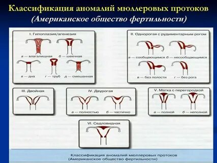 Аномалия развития кожи